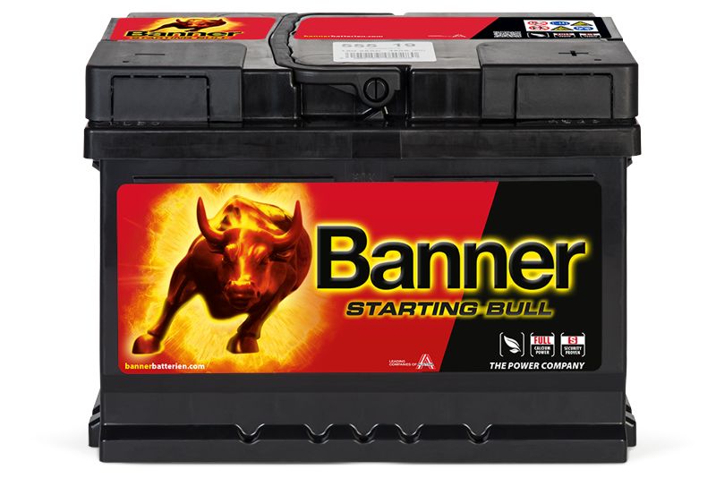 Baterie auto 55ah 450a 12v Banner 555 19