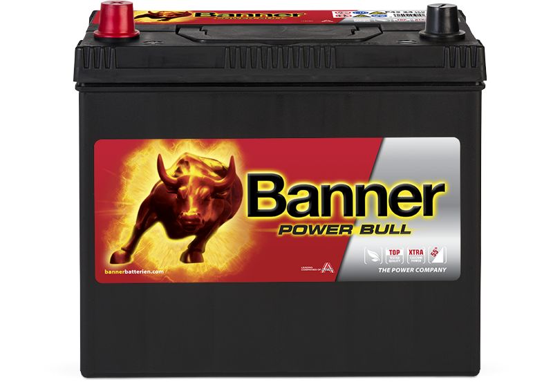 Baterie auto 45ah 390a 12v Banner P45 24