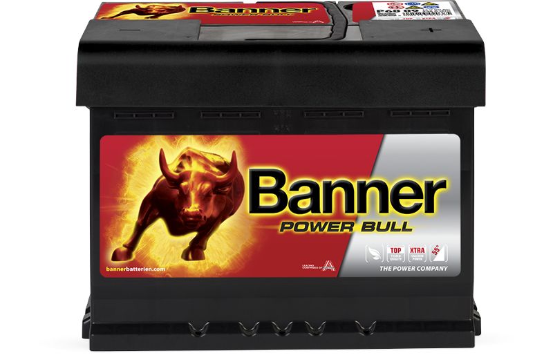 Baterie auto 60ah 540a 12v Banner P60 09
