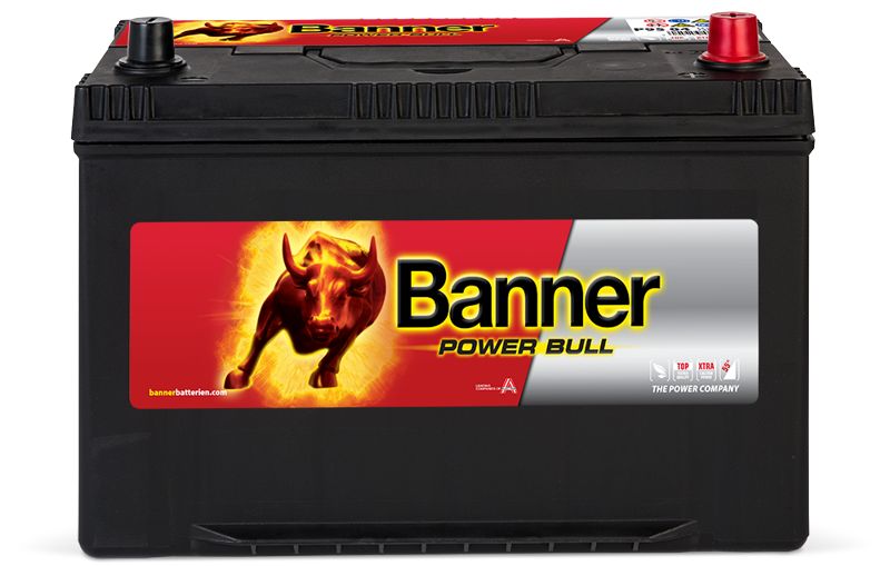 Baterie auto 95ah 740a 12v Banner  P95 04