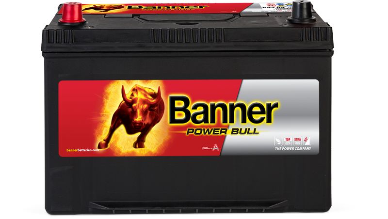 Baterie auto 95ah 740a 12v Banner P95 05