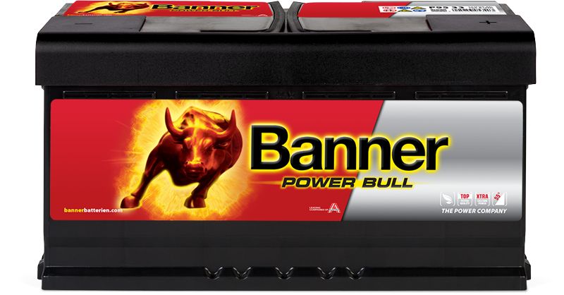 Baterie auto 95ah 780a 12v Banner P95 33